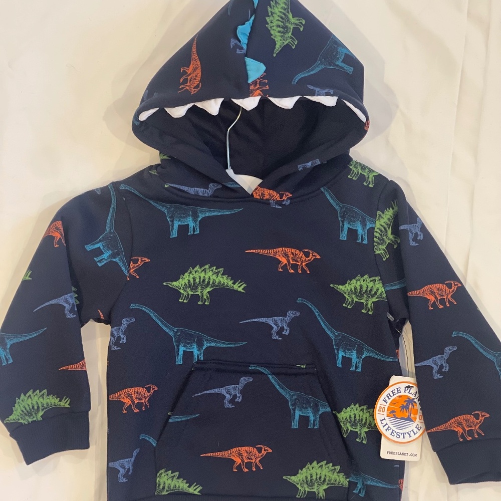 Toddler Boy Free Planet Dinosaur Pullover Hoodie